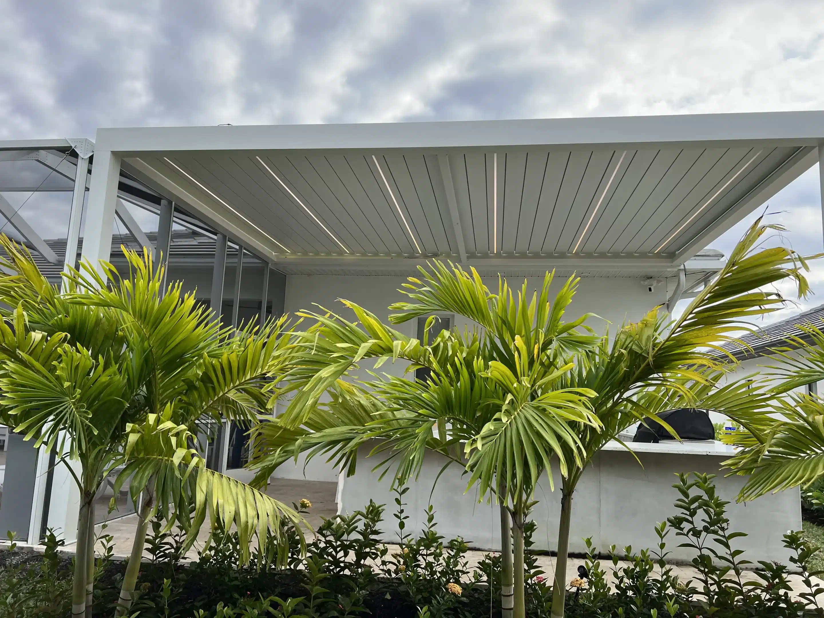 White modern pergola over a patio, with lush tropical palm plants in the foreground.