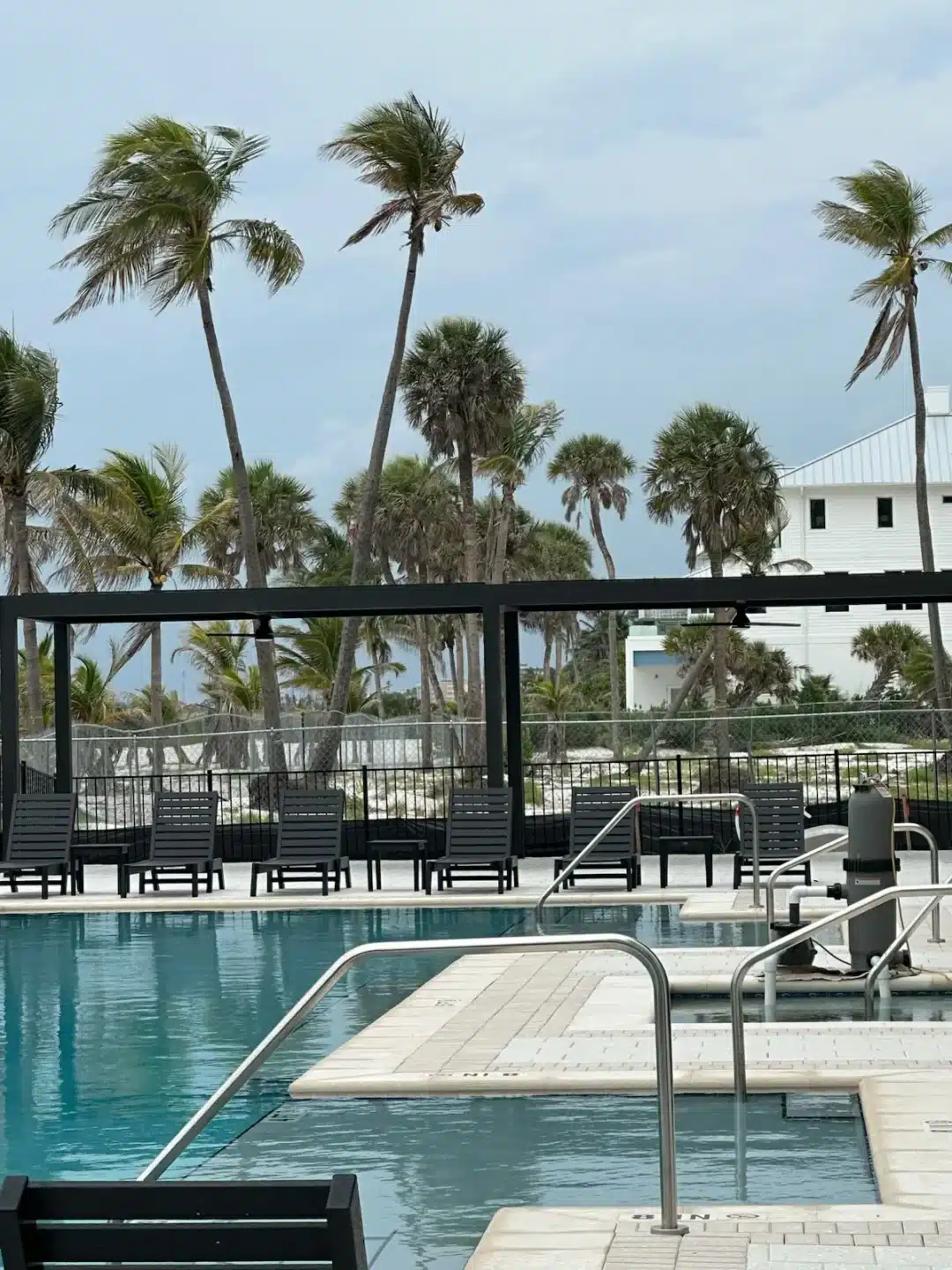 Poolside scene with a row of black lounge chairs along a deck, a metal frame structure, and tall swaying palm trees by a white building in the background.