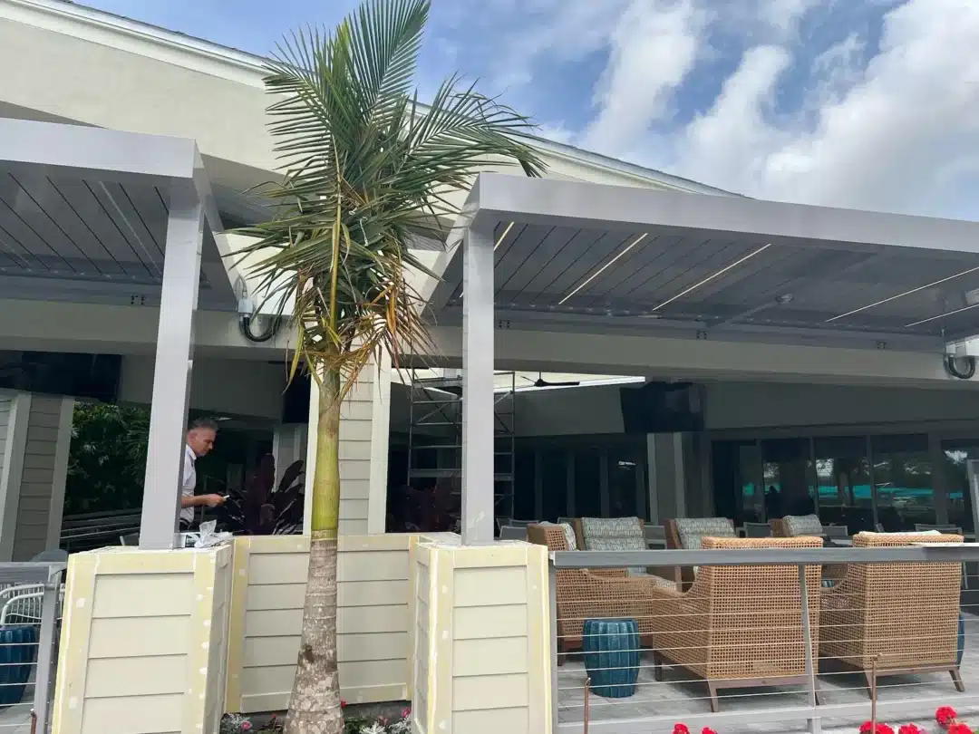 Outdoor patio seating under a modern gray pergola with a palm tree in a planter and wicker sofas and chairs.